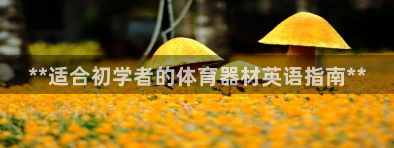 富联娱乐够7O777:**适合初学者的体育器材英语指南**
