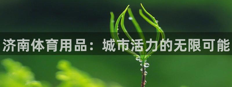 富联平台意 411o31 平台:济南体育用品:城市活力的无限